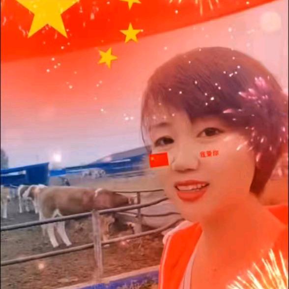 聚鑫缘肉牛养殖场