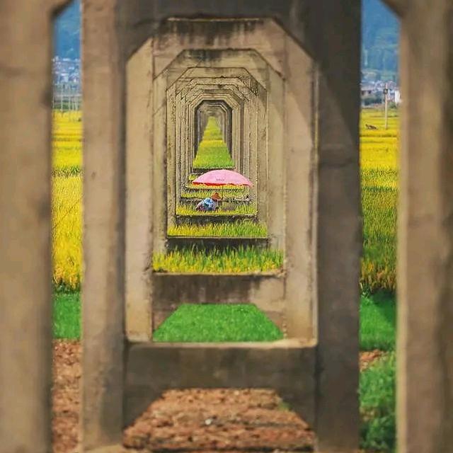 莫里哀