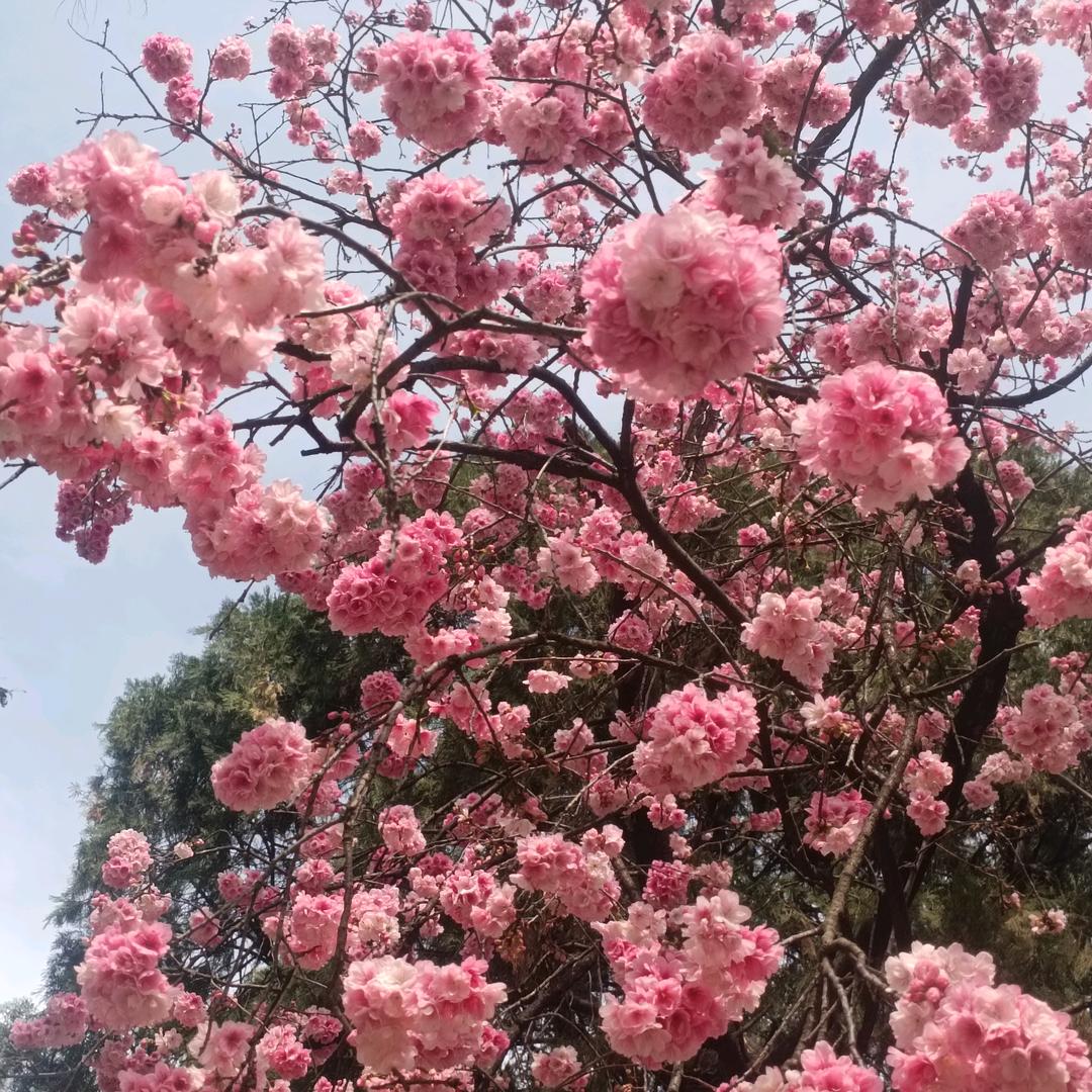 原来是你