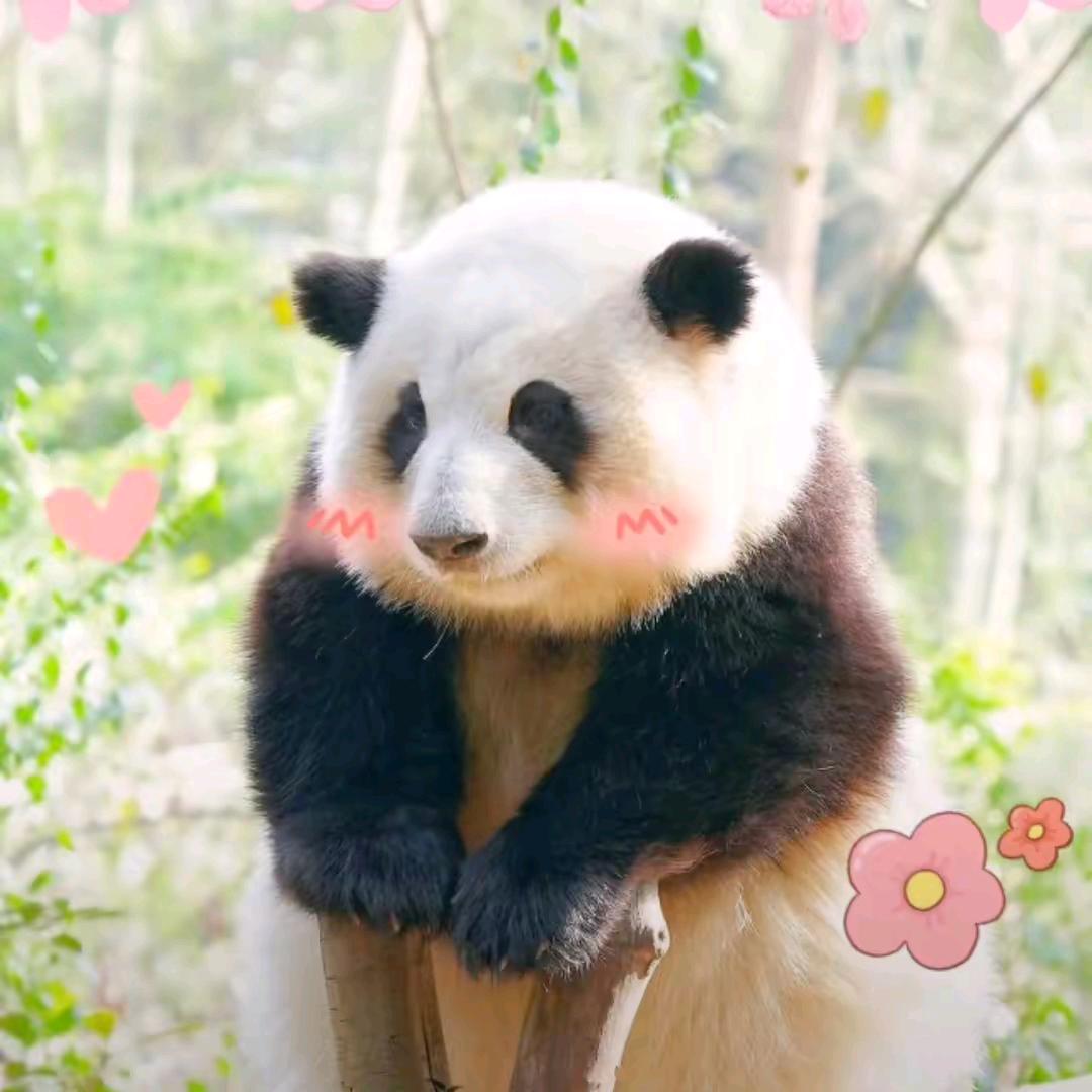 娜娜
