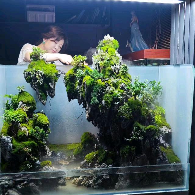 开心素素（和盛丰水水族造景）