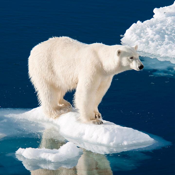 奥园生活超市🌸🌸