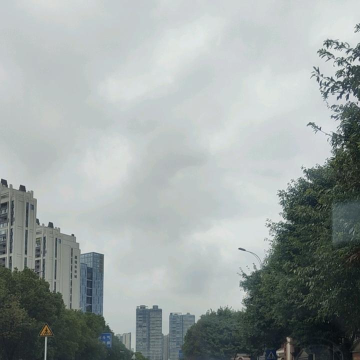 落叶🍂12