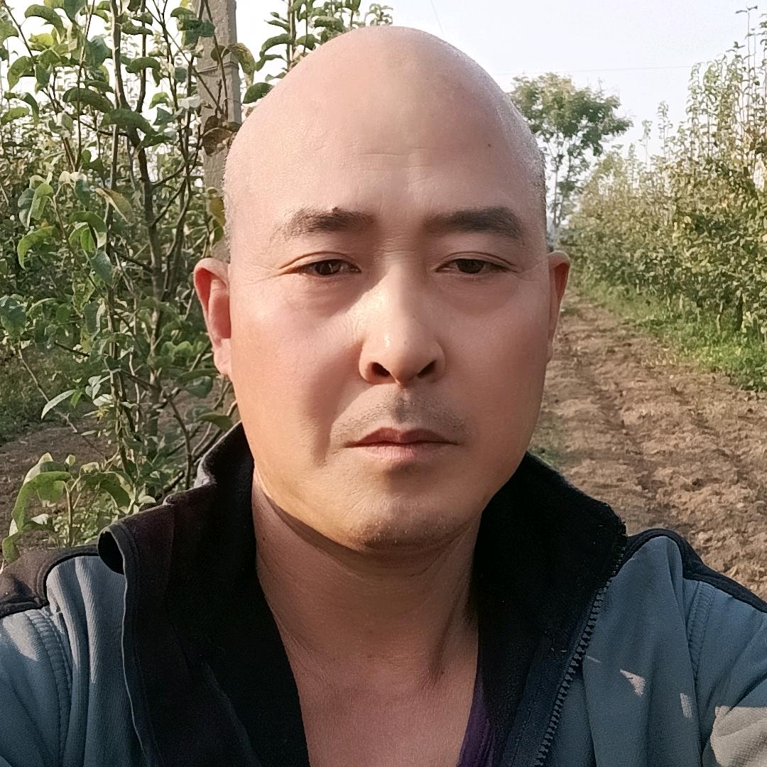 光头砂梨哥