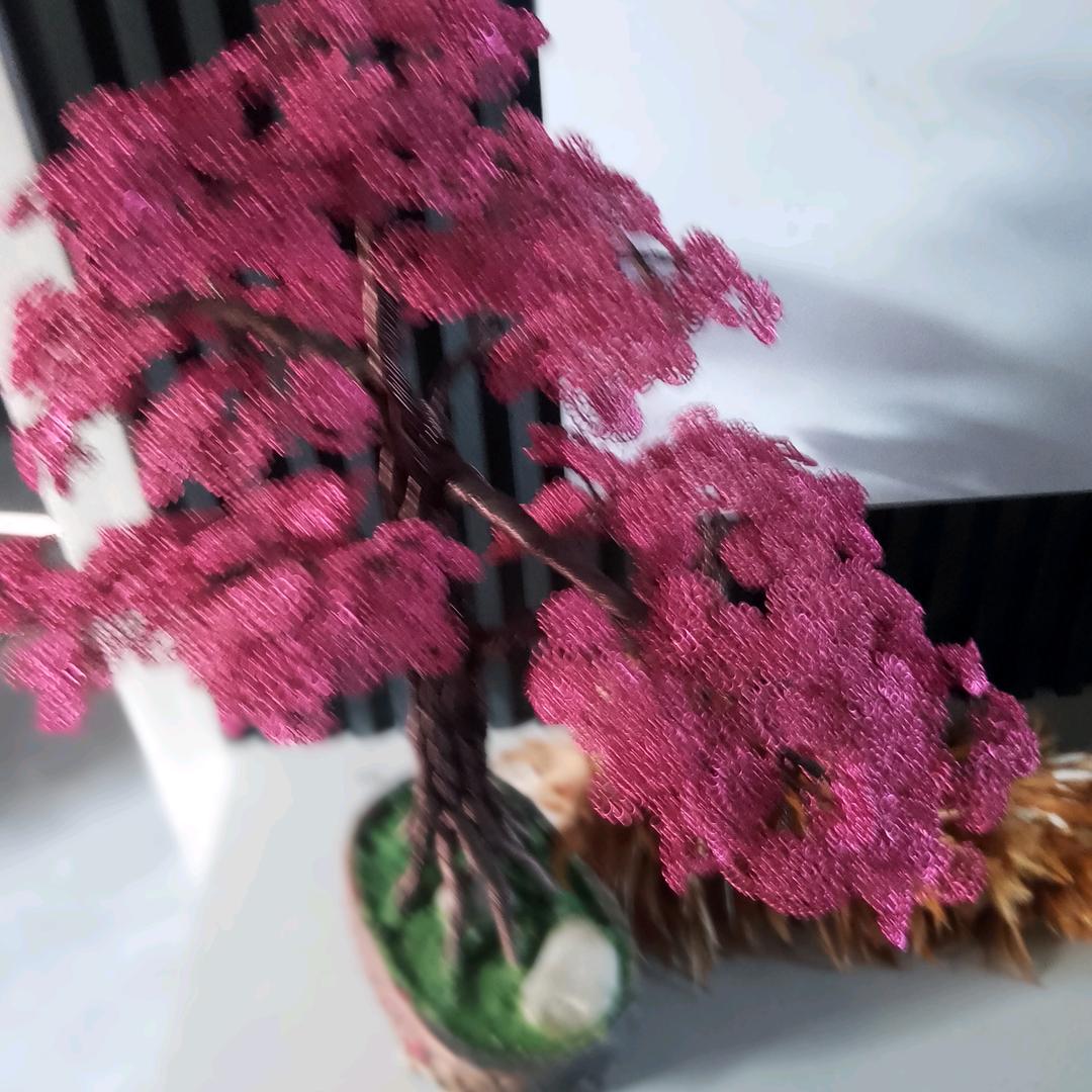 照亮自己