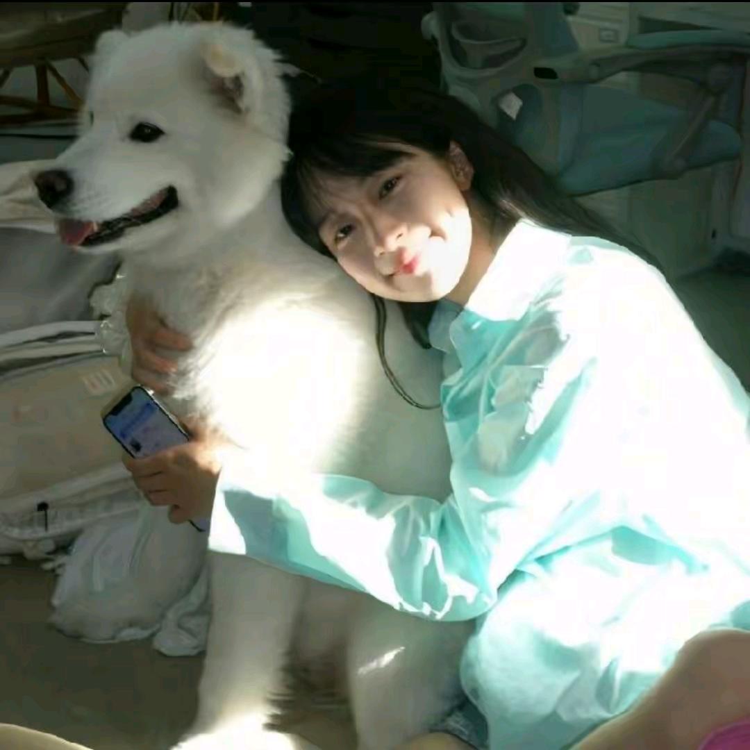 小鱼快游