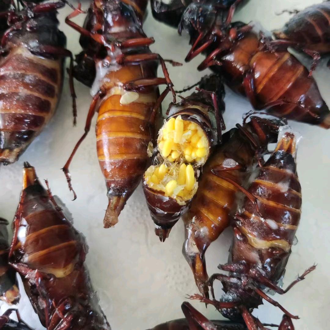 小周土特产