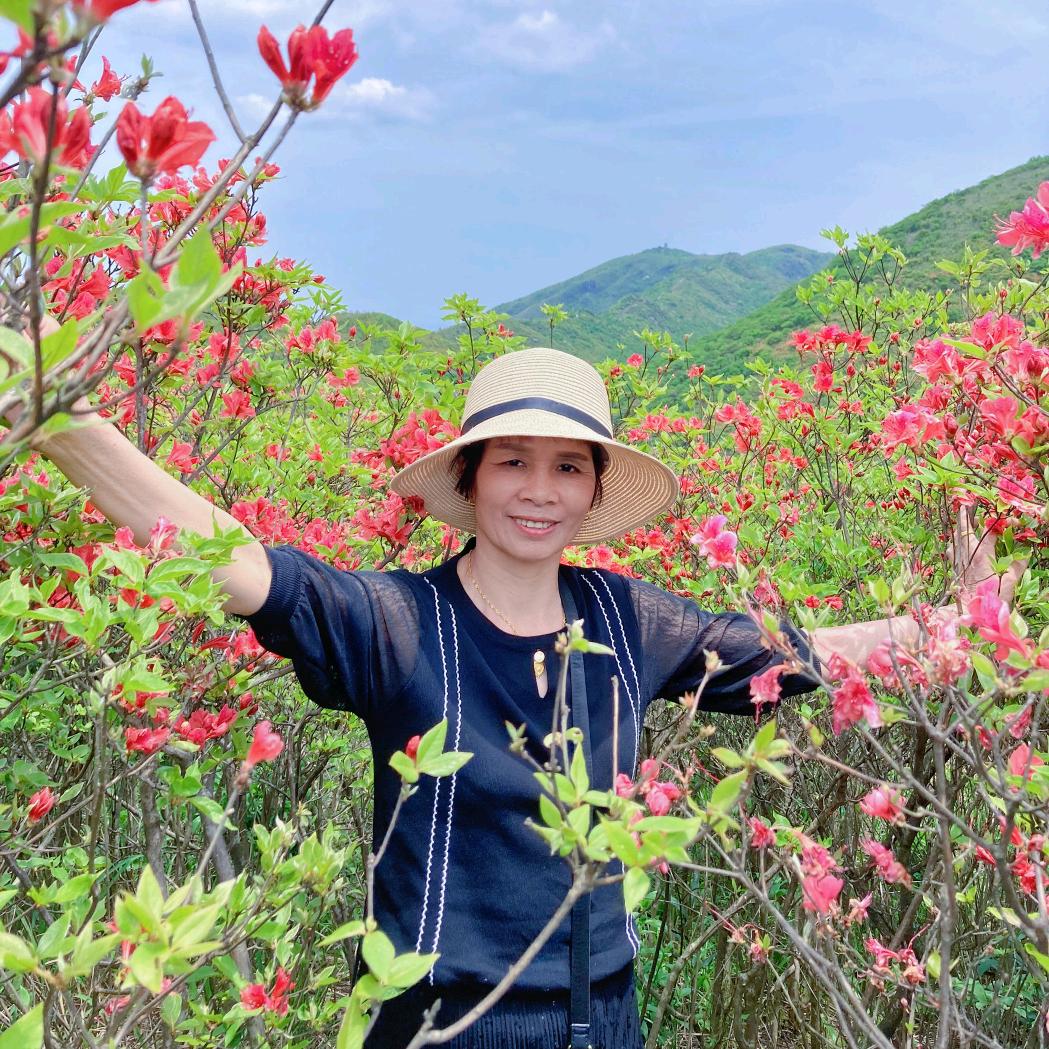 清茶淡香