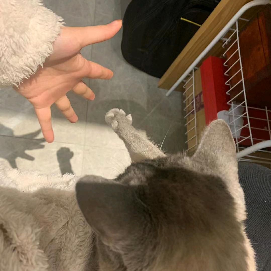 时光测不准