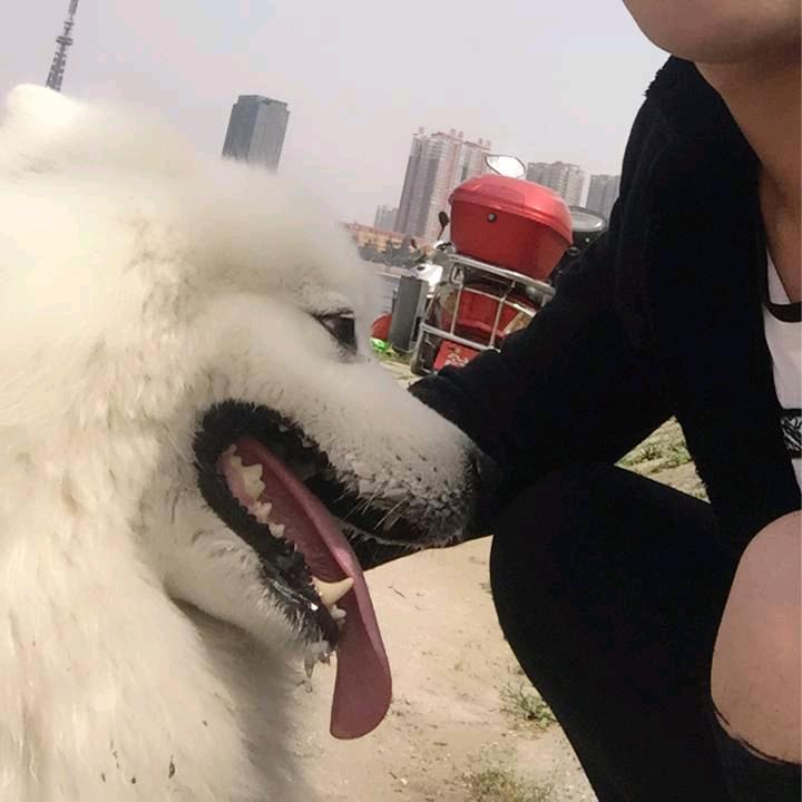 南瓜南瓜