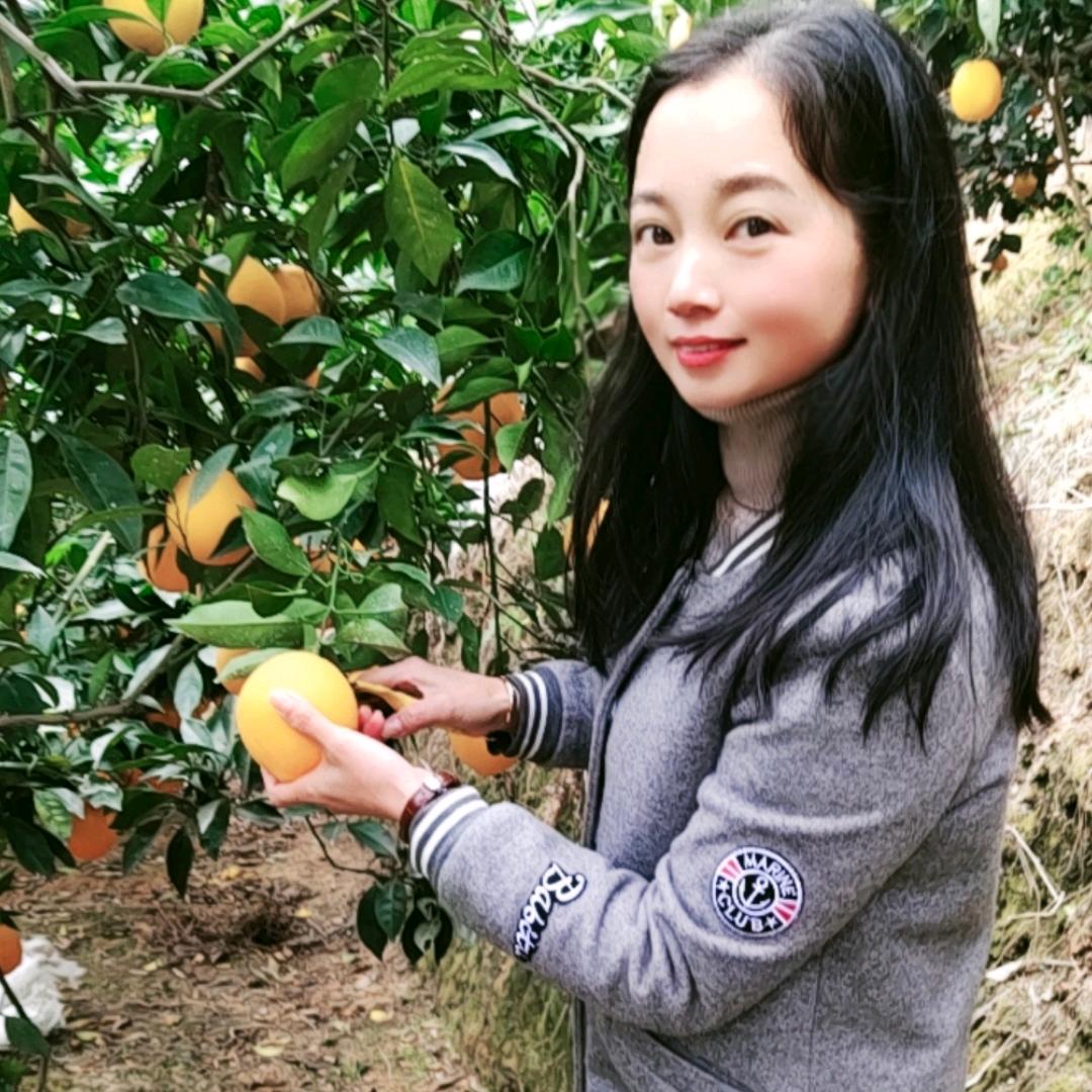 熊莲儿