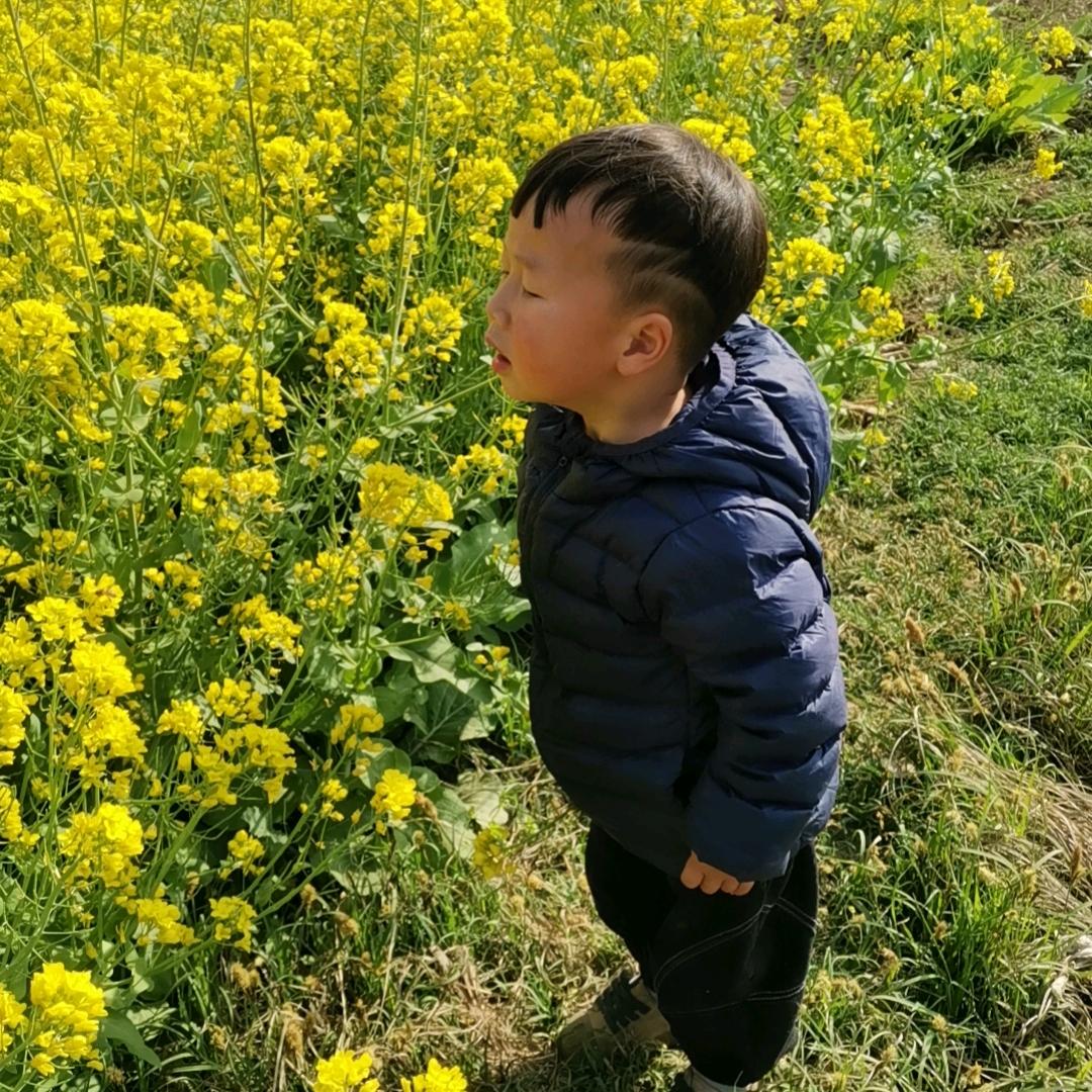 追风老贺