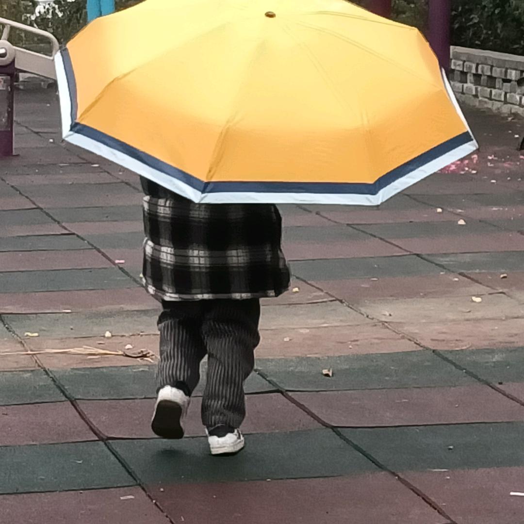 皮皮虾