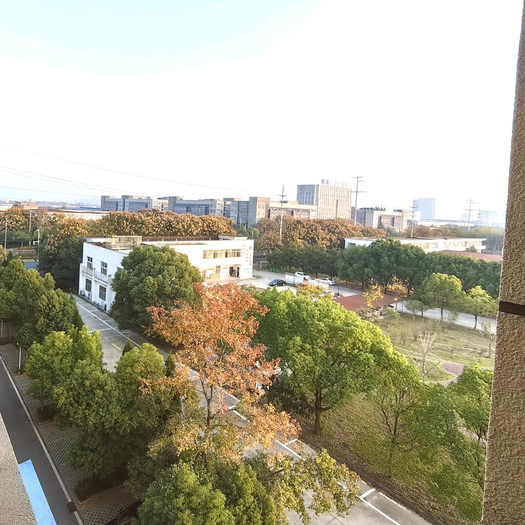 小小的鱼