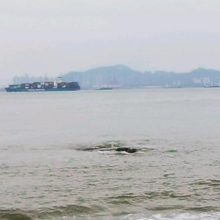 坦头生鲜果蔬菜店