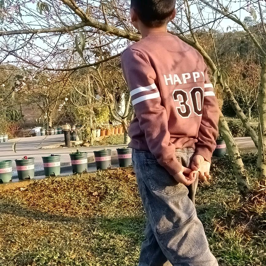 林，