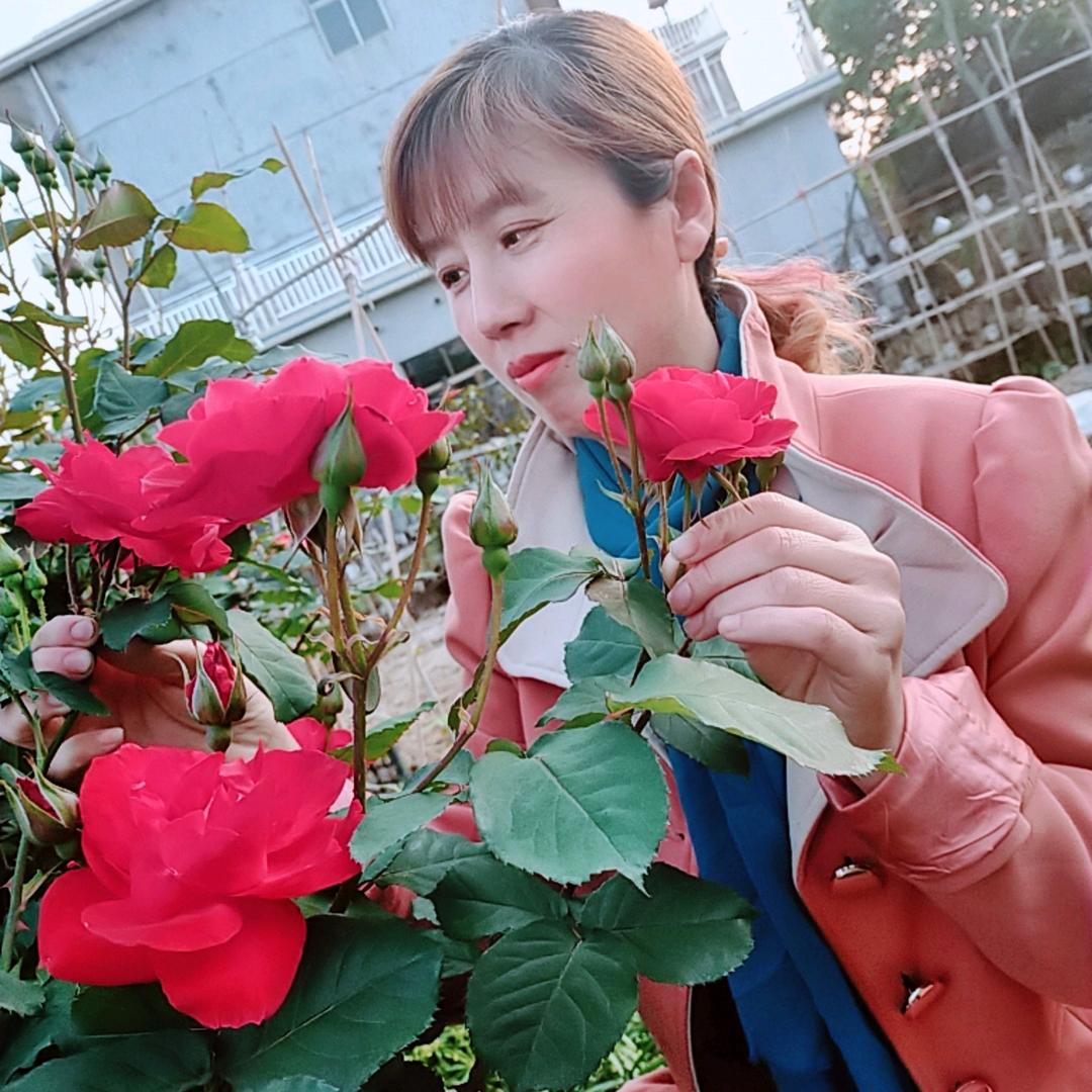 半仙明月半彬林