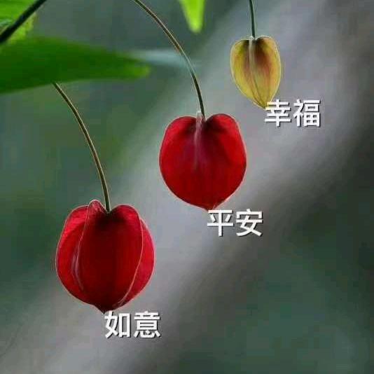 青🍃