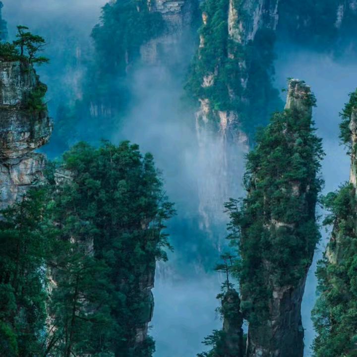 沉醉于红颜