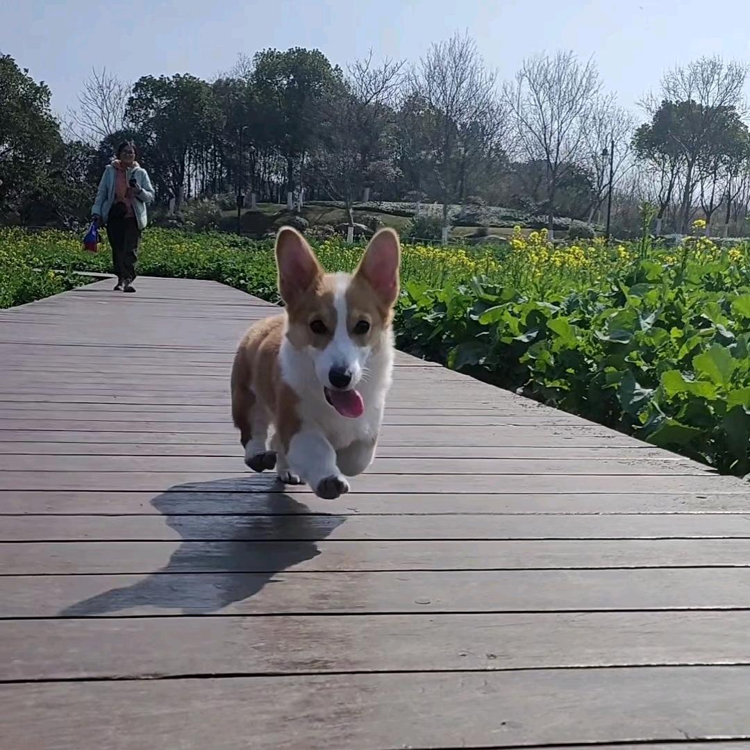 一毛五