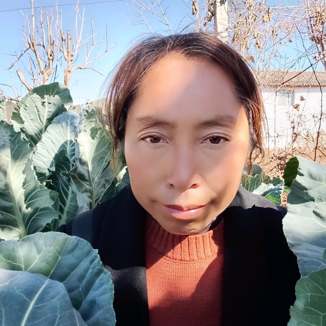 朱姐
