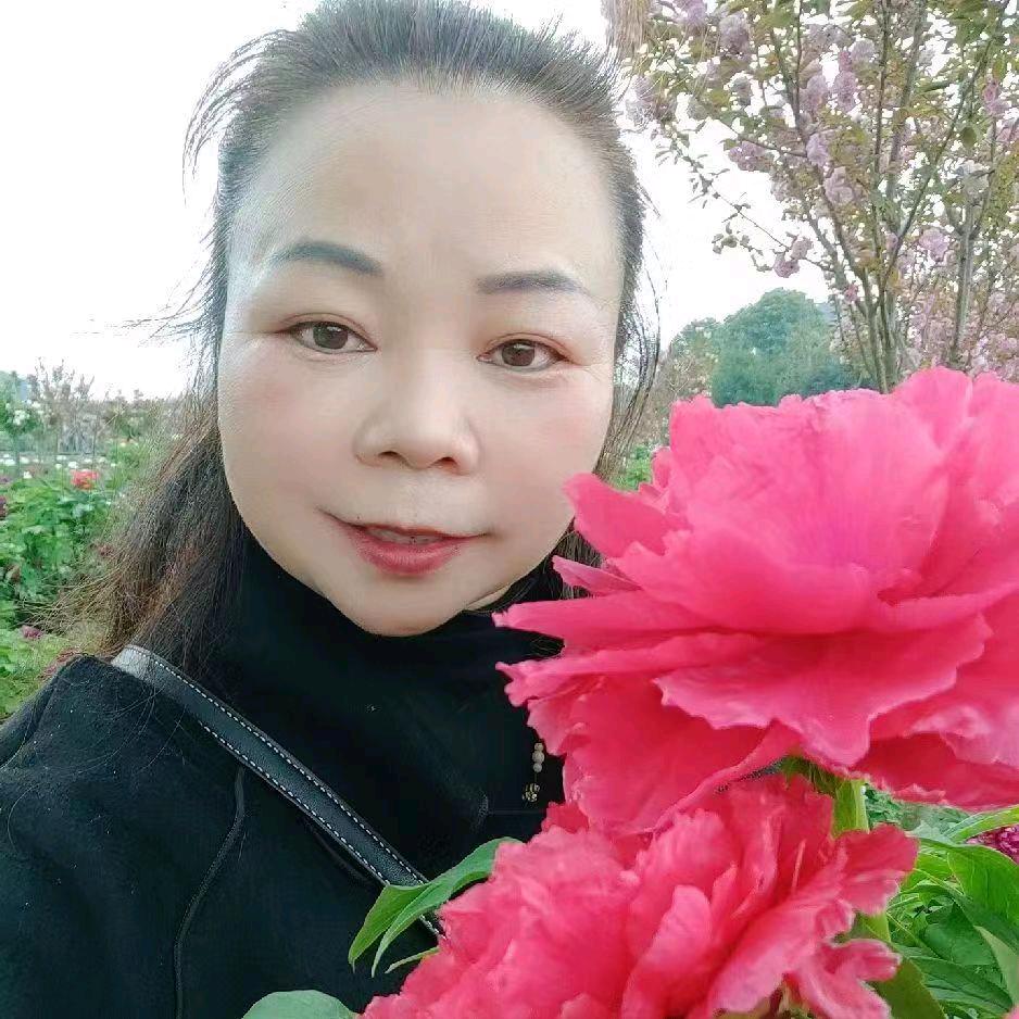 虹姐