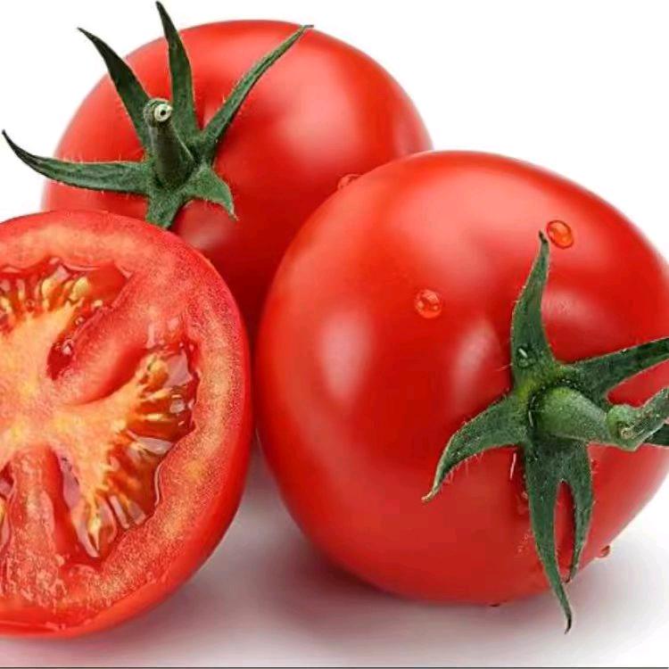 农业种植技术员