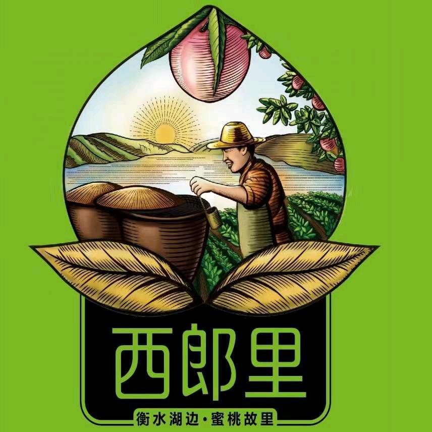 深州桃乡特产
