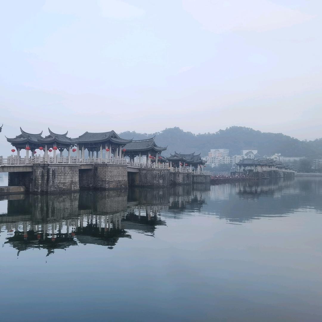 晨风之梦