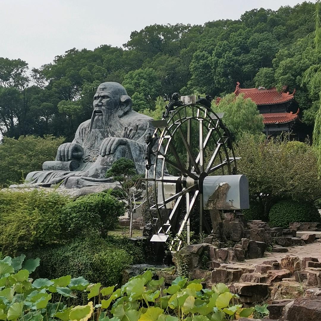 低调的羔羊