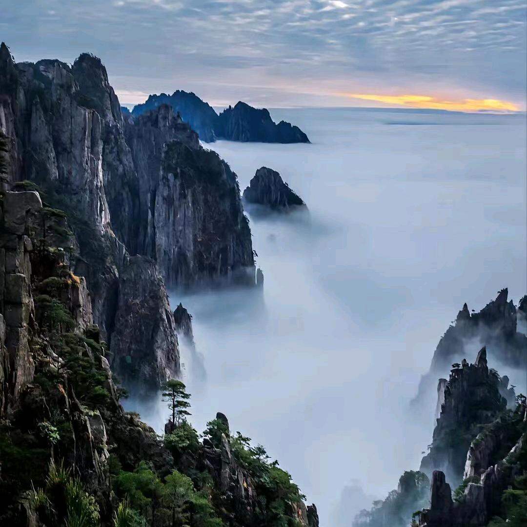 新光闪耀