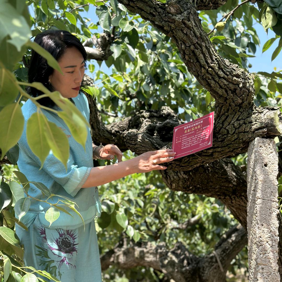 山东沁知园食品有限公司