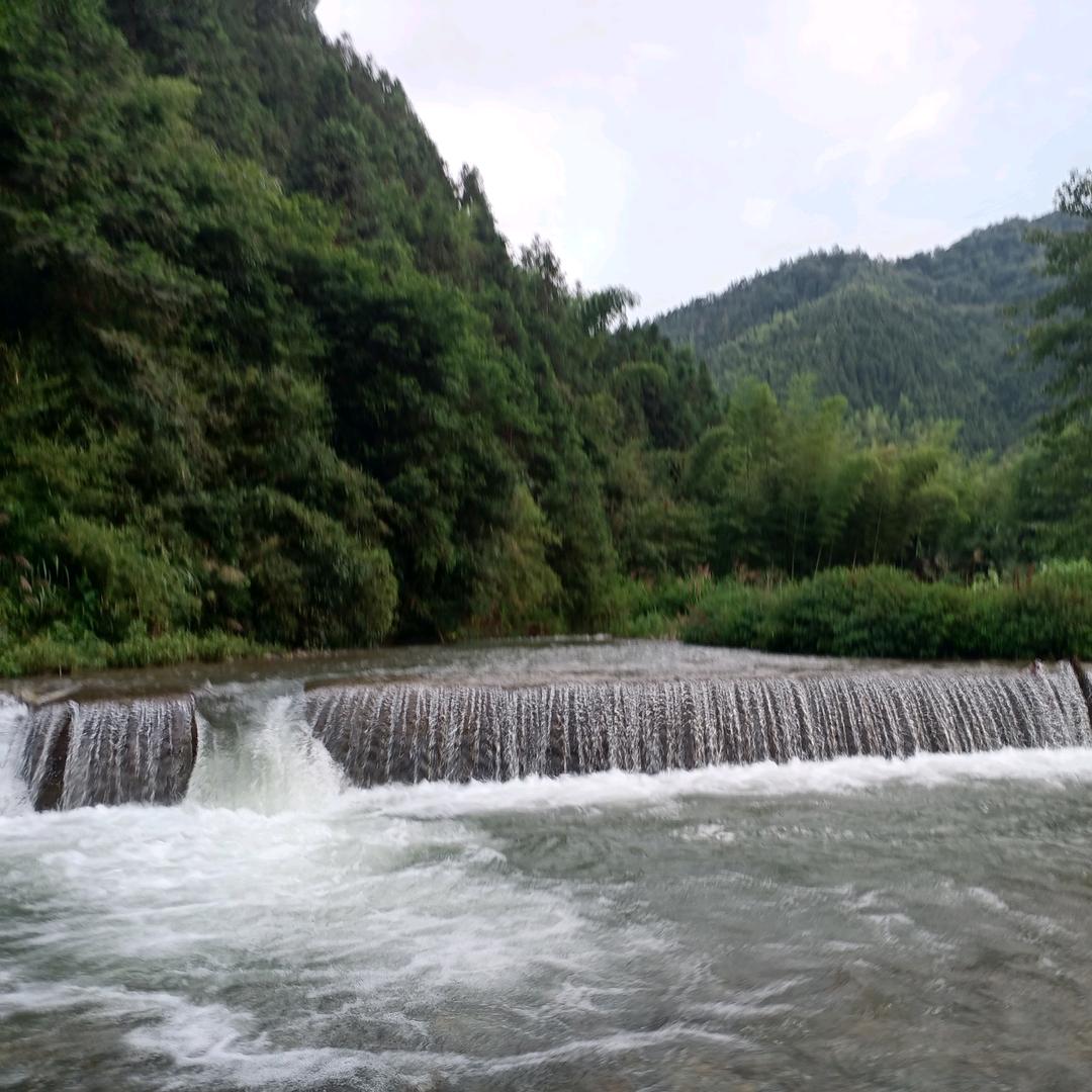 ℳঞ凊风🌿淡雅