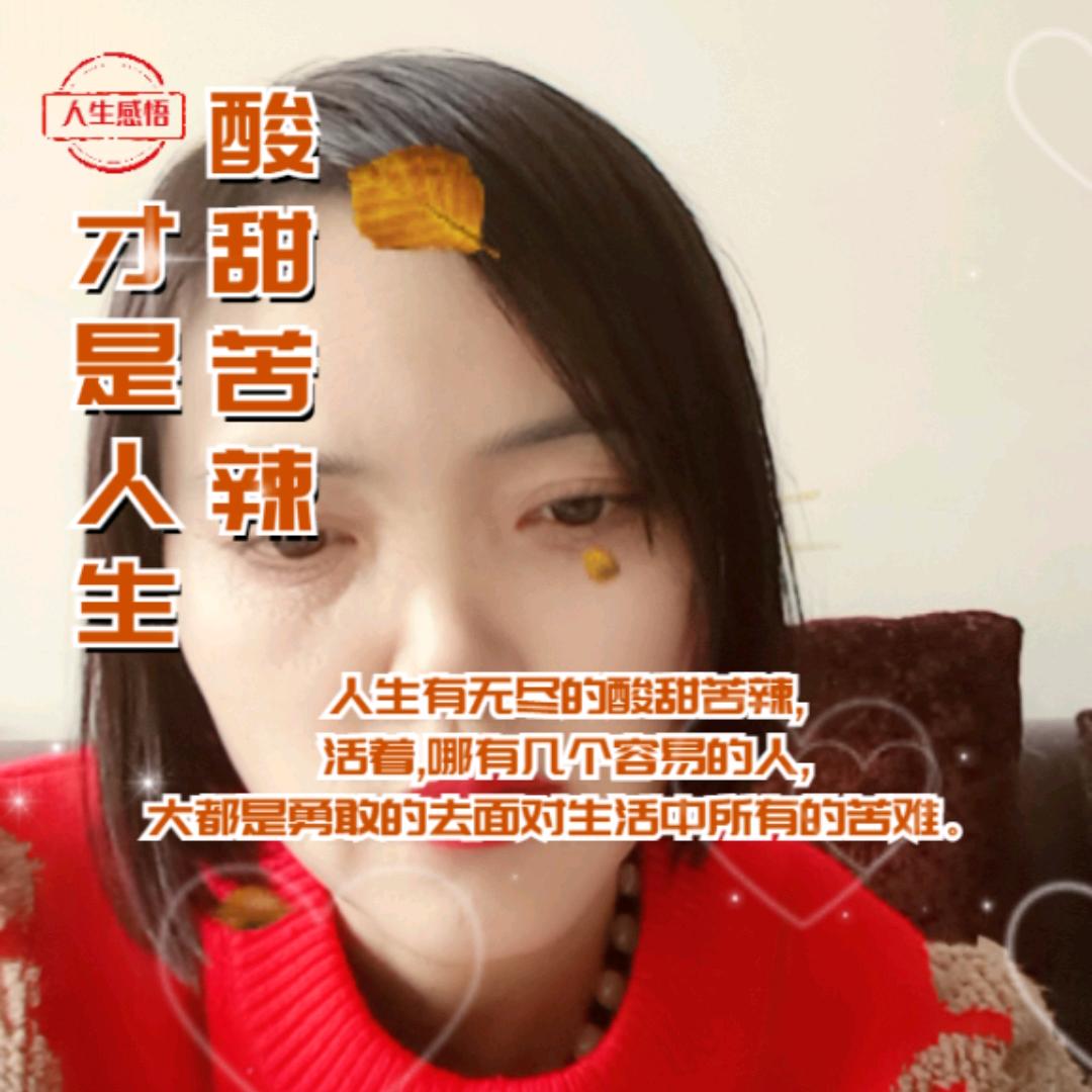 情歌娇娇