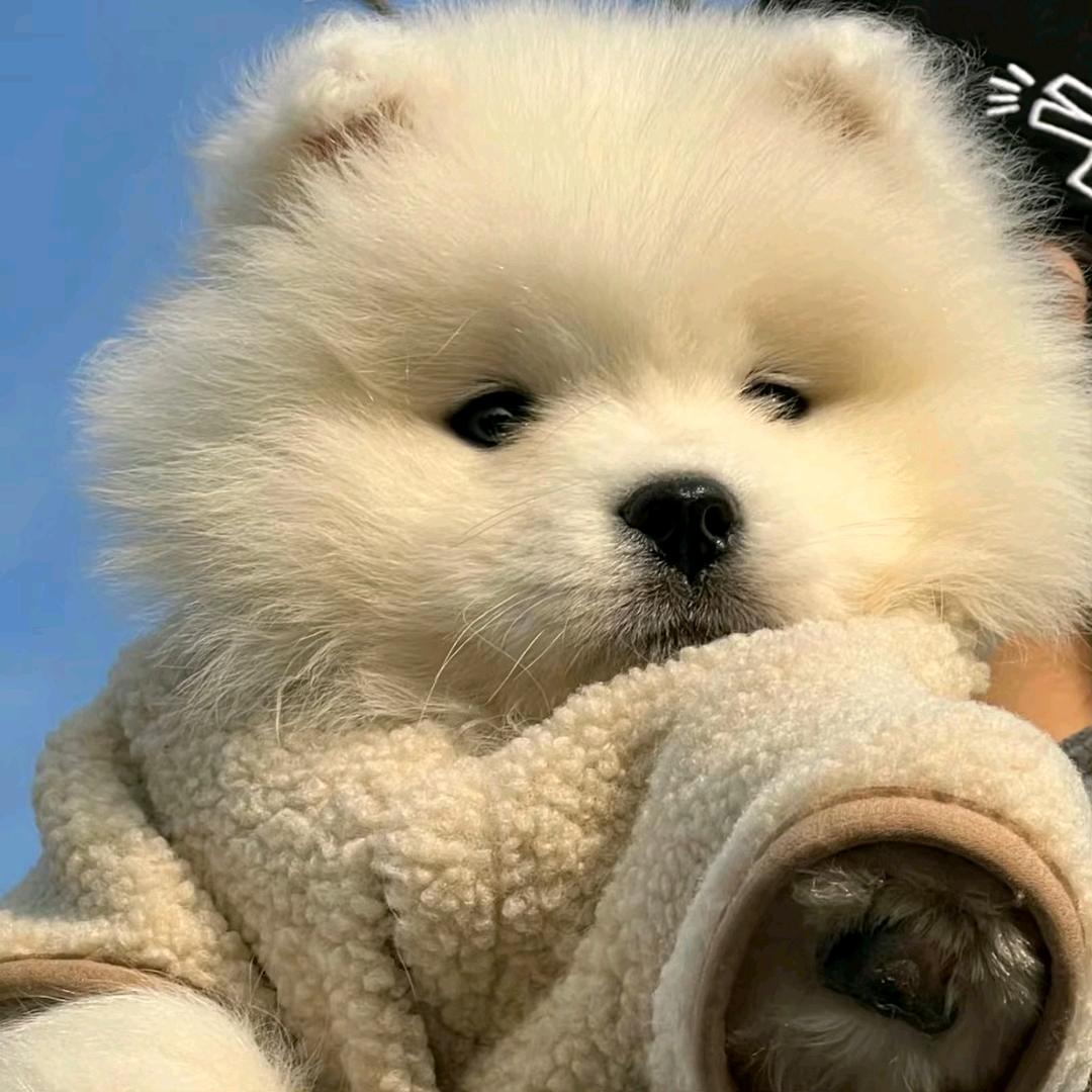 睡意