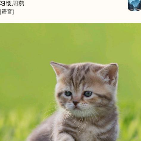 李四专业风水修建