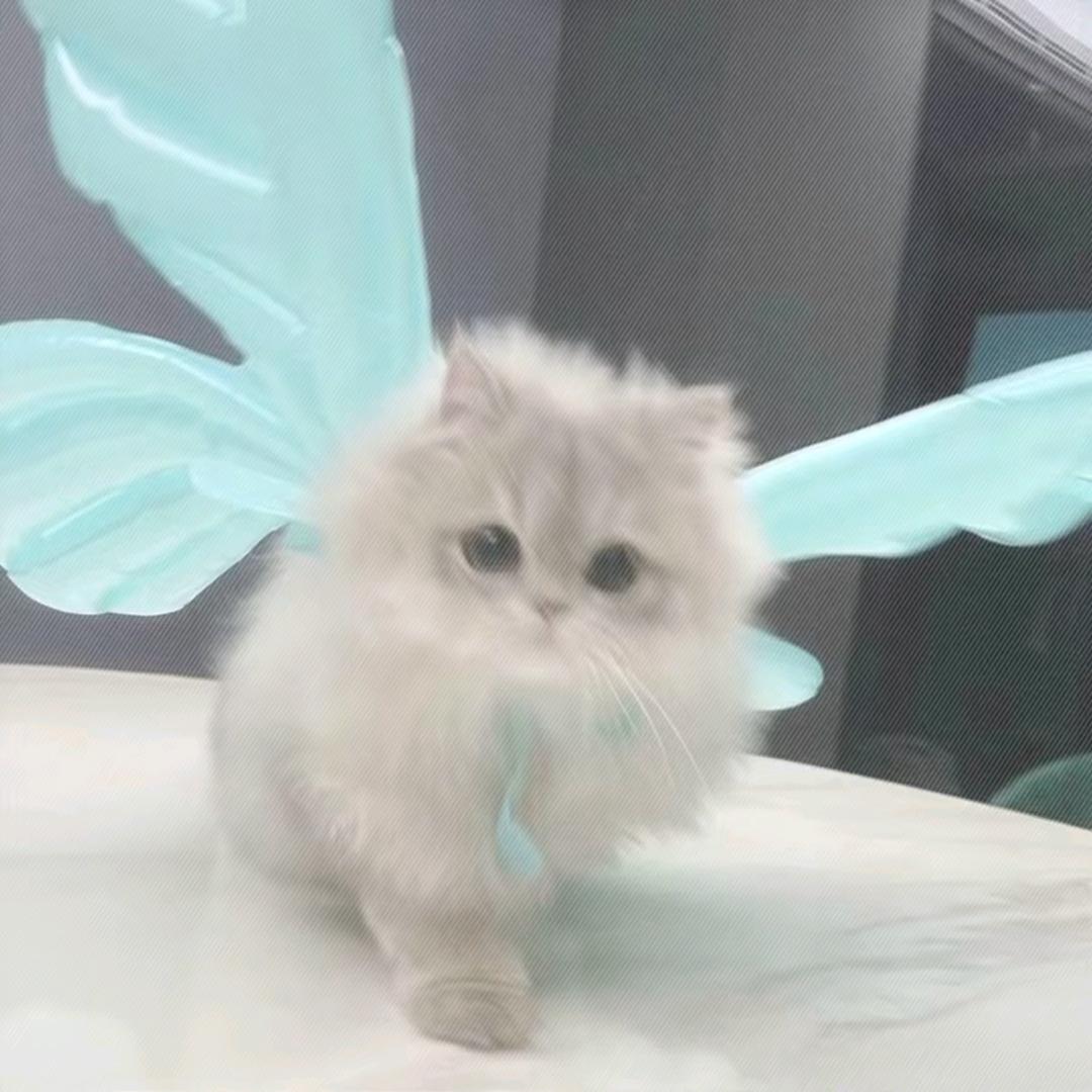 童真の笑脸