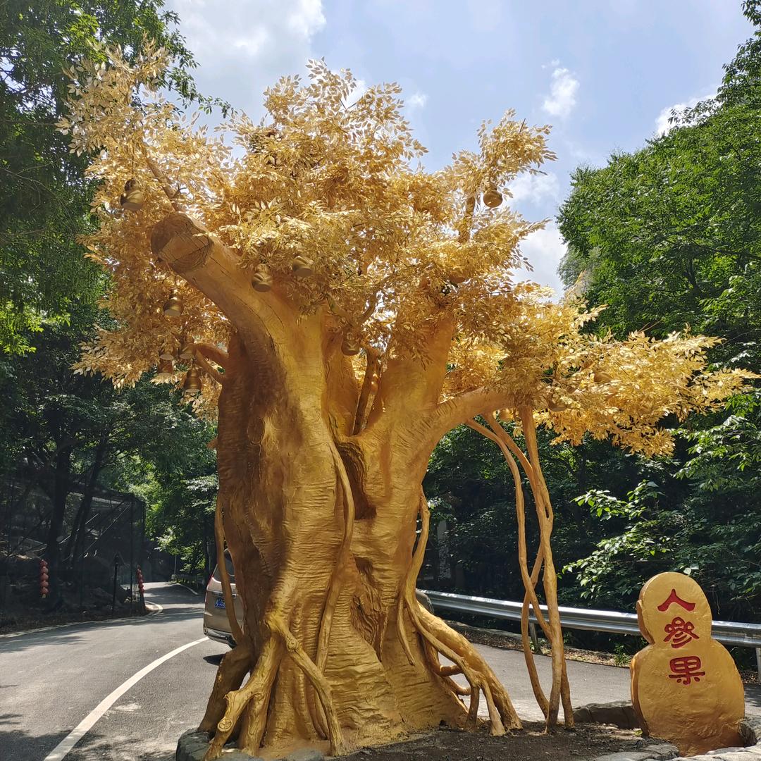 顺期自然