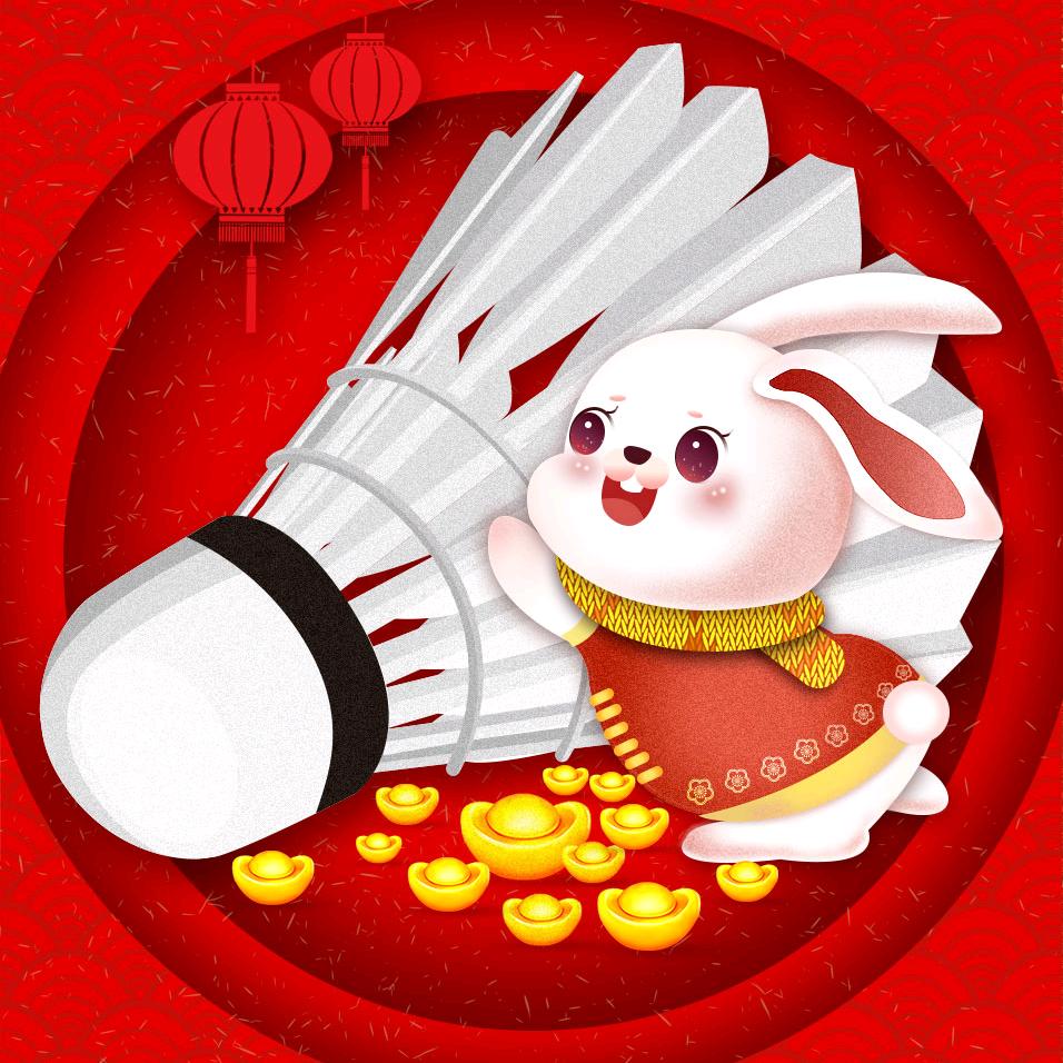羽球杂谈