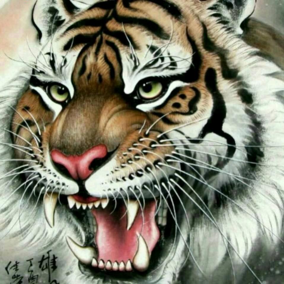 བོད་། love you