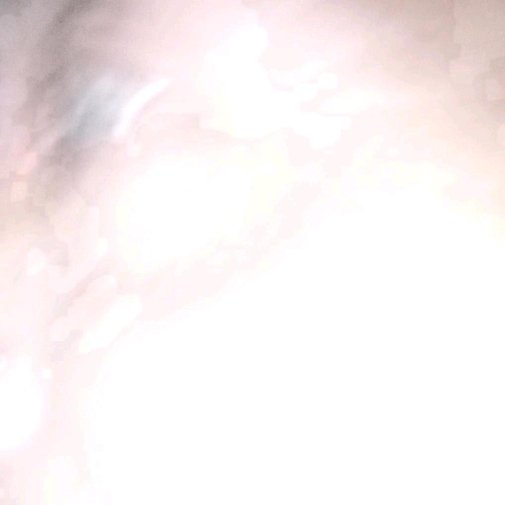 黄梅兵