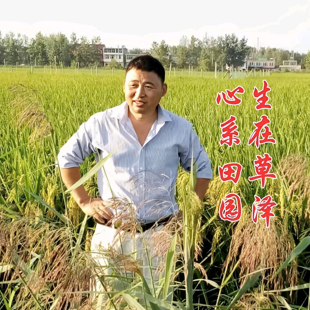 生在草泽