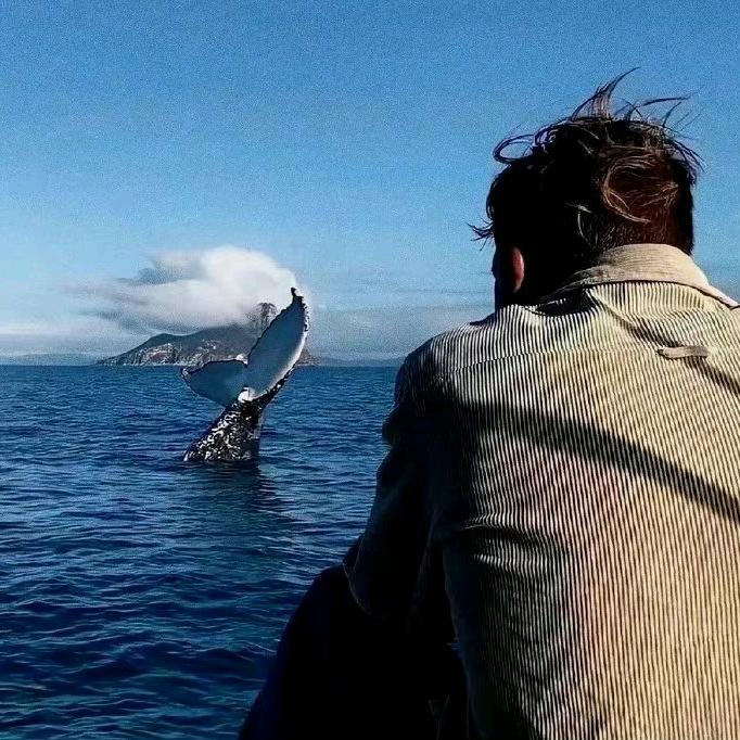 讓風吹過北半球