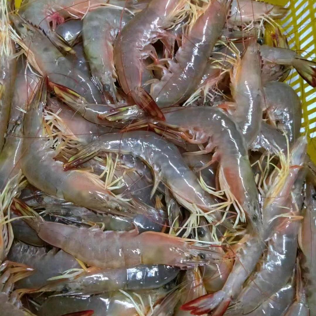 饶祖良海鲜批发