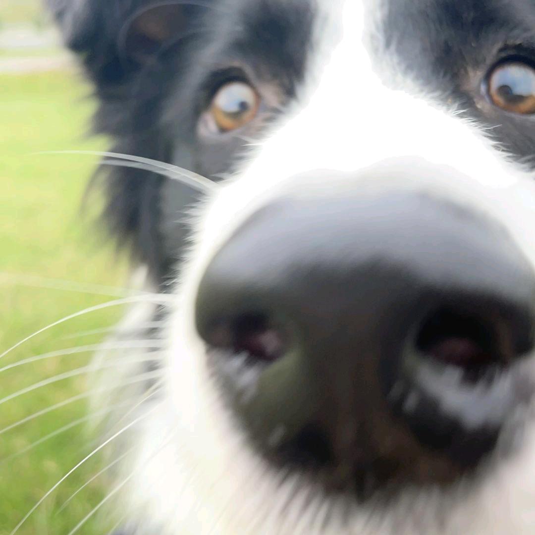 终极无敌老变态