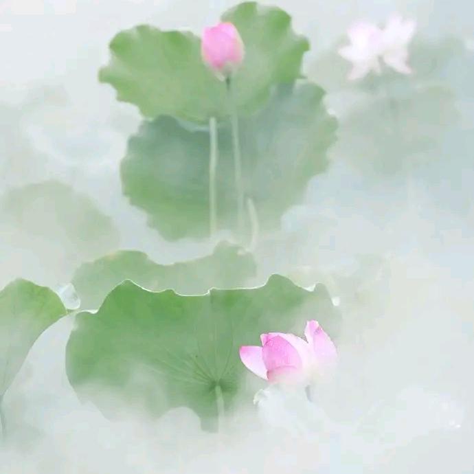 草草钰庄