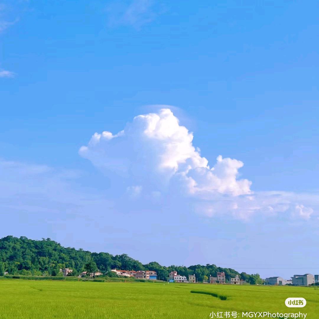 梵梵小铺