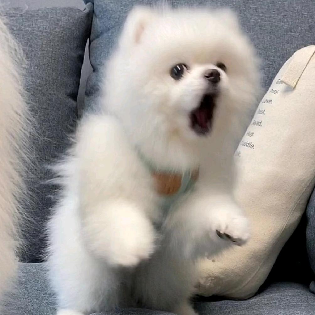 忆小兮(*∩_∩*)
