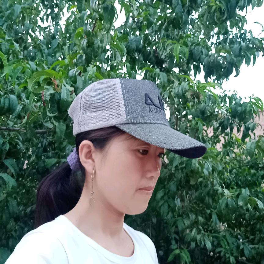 财富进家