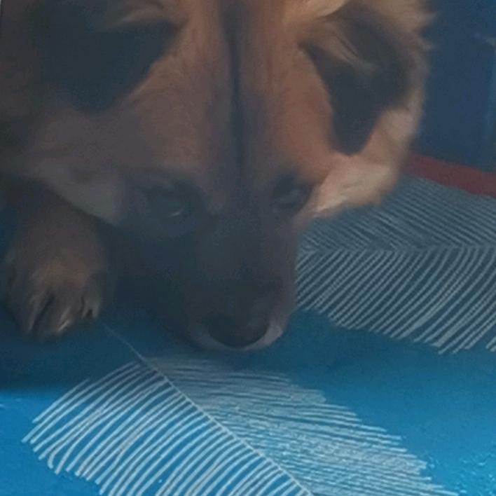 不想说话啊